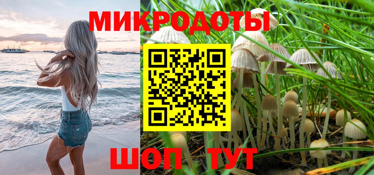 Псилоцибиновые грибы Magic Shrooms Шебекино